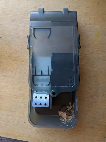 Arial View Of Mouse Trap With Peanut Butter As Bait