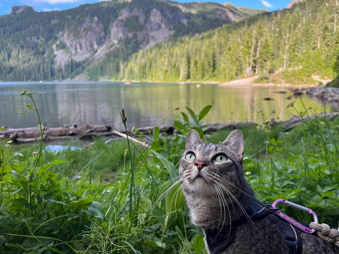 hiking trip with an adventure cat